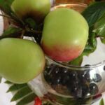 skudrina_17 (10)