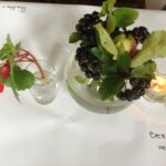skudrina_17 (15)