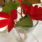 skudrina_17 (9)