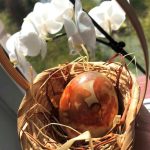 {"source_sid":"0C069255-1C2E-4876-BE98-A871B55D314B_1586513627156","subsource":"done_button","uid":"0C069255-1C2E-4876-BE98-A871B55D314B_1586513626826","source":"other","origin":"gallery"}