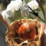 {"source_sid":"0C069255-1C2E-4876-BE98-A871B55D314B_1586513627156","subsource":"done_button","uid":"0C069255-1C2E-4876-BE98-A871B55D314B_1586513626826","source":"other","origin":"gallery"}