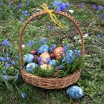 ????????????????????????????????????