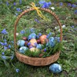 ????????????????????????????????????