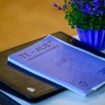 cela uz dziesmusvetkiem ; koru skate